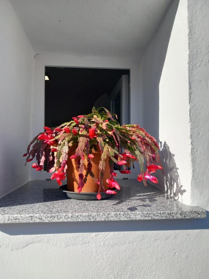Ferienwohnung Apartamento De La Haya, Junto Al Teatro Romano Mérida Exterior foto